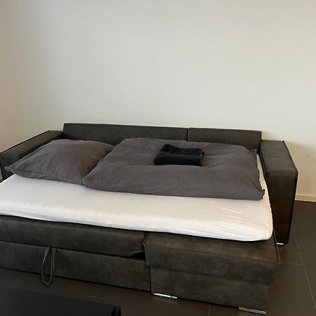Luxuswohnung Direkt Am Phoenixsee ดอร์ทมุนด์ ภายนอก รูปภาพ